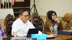 Kepala Dispar Provinsi Berbagi Konsep Ekosistem Kreatif Pada Rakor Pariwisata Gorontalo 