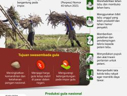 Indonesia Targetkan Swasembada Gula Tahun 2030