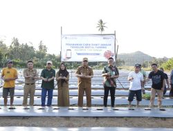 Abdullah Mokoginta Tanam Cabai Rawit dengan Teknologi Digital Farming