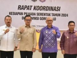 Soal Pilkada Serentak 2024, Begini Kata Syukri Botutihe