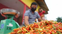 Bapanas Catat Harga Pangan Cabai Rawit dan Bawang Putih Naik Harga Per 4 Januari