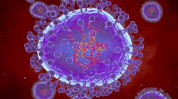 Virus Human Metapneumovirus Merebak di China, Pemerintah Berikan Himbauan