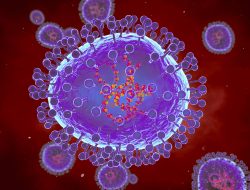 Virus Human Metapneumovirus Merebak di China, Pemerintah Berikan Himbauan