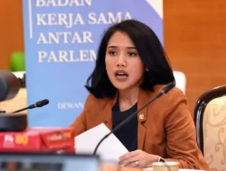 Anggota DPR Sebutkan Wacana Penyeragaman Kemasan Rokok Harus ditinjau Kembali