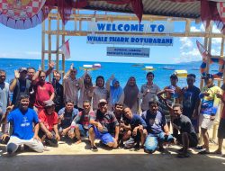 Lima Hiu Paus Dipantau demi Ekowisata Berkelanjutan