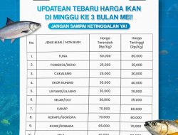 Harga Ikan Gorontalo Naik Turun Nelayan dan Konsumen Masih Berjuang di Tengah Ketidakpastian Pasar