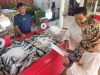 Harga Ikan Gorontalo Naik-Turun, Tuna Turun, Udang Vaname Naik Tajam