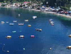 Perairan Botubarani Jadi Fokus Konservasi dan Pengawasan Wisata Laut
