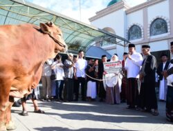 Iduladha 1446 H: Presiden Prabowo Kirim Sapi Kurban ke Gorontalo, Gubernur Serahkan di Masjid Baiturrahim
