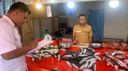 Harga Komoditas Ikan Gorontalo Relatif Stabil, Beberapa Jenis Mengalami Kenaikan Jelang Akhir Juni