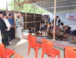 Idul Adha 1446 H, Universitas Negeri Gorontalo Kurban Sebanyak 20 Ekor Sapi