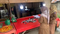 Harga Ikan Naik di Gorontalo DKP Soroti Stabilitas Pasokan
