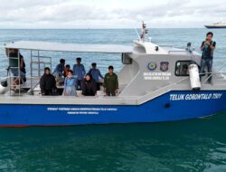 Wisata Hiu Paus Botubarani dan Diplomasi Konservasi Laut Gorontalo
