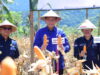 Dorong Kemandirian Ekonomi Mustahik, BAZNAS Gorontalo Sukses Gelar Panen Raya Jagung