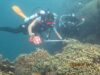 Teluk Gorontalo Fokus Lindungi Hiu Paus, LAUTRA Dukung Monitoring dan Evaluasi Habitat