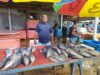 Stabilnya Harga Ikan di Gorontalo, Sinyal Positif bagi Ketahanan Pangan Laut