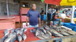Stabilnya Harga Ikan di Gorontalo, Sinyal Positif bagi Ketahanan Pangan Laut