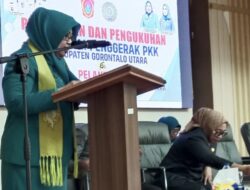 Nani Ismail Sebutkan PKK dan Posyandu Adalah Peran Vital Kesejahteraan Keluarga