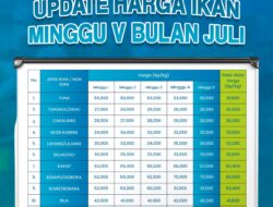 DKP Provinsi Gorontalo Rilis Data Harga Ikan Minggu Ke V Juli