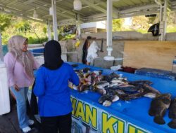 Harga Ikan Minggu Ketiga September, Beberapa Komoditas Alami Kenaikan
