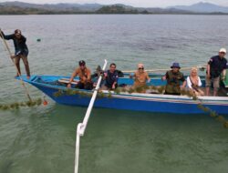 Dorong Penguatan Kebun Bibit Ramah Lingkungan, DKP Monitoring Pengembangan Budidaya Rumput Laut di Gorontalo Utara