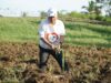 Pakan Aman, Investasi Lancar: Rumput Odot Jadi Andalan G2-10