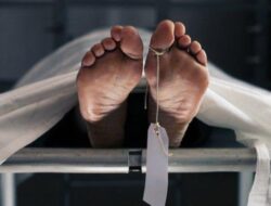 Dua Penambang Tewas Tertimbun Longsor di PETI Bulangita Pohuwato