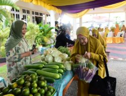 Rayakan Ulang Tahun Pernikahan, Wagub Idah Syahidah Bagikan Suvenir Pangan Lokal