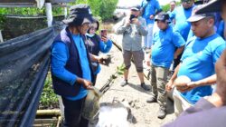 Pelatihan KKMD Dorong Peningkatan Nilai Ekonomi Spesies Mangrove Langka Gorontalo