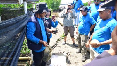 Pelatihan KKMD Dorong Peningkatan Nilai Ekonomi Spesies Mangrove Langka Gorontalo