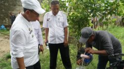 Pemkab Gorut Dorong Teknologi Peternakan Desa, Bupati Tinjau Inseminasi Buatan Sapi di Gentuma Raya