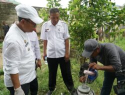 Pemkab Gorut Dorong Teknologi Peternakan Desa, Bupati Tinjau Inseminasi Buatan Sapi di Gentuma Raya