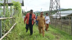 Kepercayaan Pusat Menguat, Gorontalo Utara Masuk Radar Program Strategis Hilirisasi Ayam