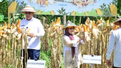 Dukung Swasembada Pangan, Provinsi Gorontalo Bidik Produksi 1,5 Juta Ton Jagung di 2026