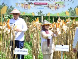 Dukung Swasembada Pangan, Provinsi Gorontalo Bidik Produksi 1,5 Juta Ton Jagung di 2026