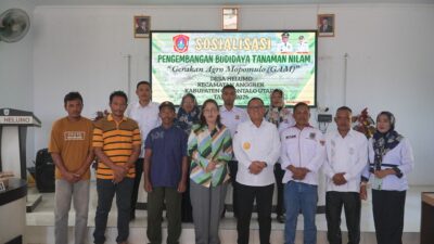 Pemkab Gorontalo Utara Dorong Pengembangan Nilam Berbasis Desa