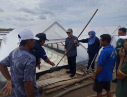 Dorong Ketahanan Pangan, Kadis DKP Kunjungi Tambak Garam Desa Sidowonge