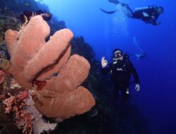 Ramadan, Laut, dan Ujian Kesadaran Manusia