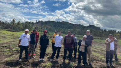Dari Gorut, Hilirisasi Ayam Terintegrasi Di mulai