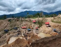 Praktisi Hukum: Pernyataan Gubernur Gusnar Adalah Upaya Melindungi Rakyat dari Jeratan Hukum