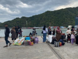 Arus Mudik Jalur Laut: Penumpang di Pelabuhan Gorontalo Melonjak, Sebagian Tak Kebagian Tiket
