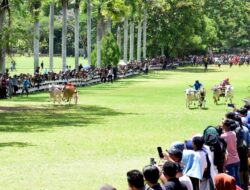 Pacuan Kuda Batal, Kadis Parekrafpar Pastikan Lebaran Ketupat 2026 Tetap Semarak