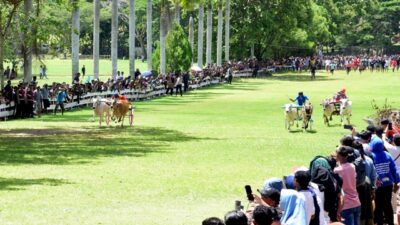 Pacuan Kuda Batal, Kadis Parekrafpar Pastikan Lebaran Ketupat 2026 Tetap Semarak