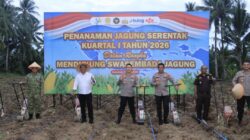 Dukung Swasembada Pangan, Kapolda Gorontalo bersama Forkopimda Tanam Jagung Serentak Kuartal I