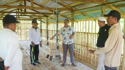 Thariq Modanggu Turun Langsung ke Kandang, Soroti Detail Penentu Kualitas Ternak di Desa Windu