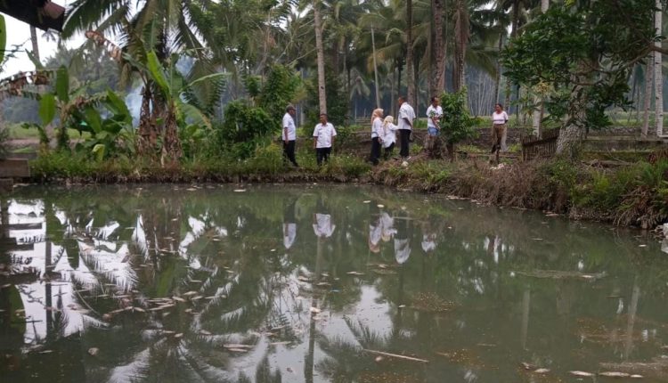 Pemkot Kotamobagu Turun Tangan Selidiki Kematian Ikan Massal di Poyowa Besar II
