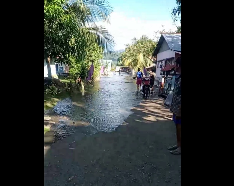 Peringatan Dini Tsunami