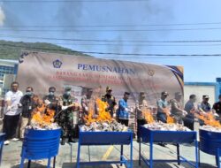 Komitmen Tingkatkan PAD, Pemkot Gorontalo Tegas Musnahkan Rokok Ilegal