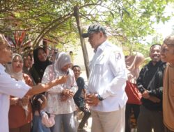 Dampingi Wamen Transmigrasi, Gubernur Gusnar Ismail Serap Aspirasi Petani Jagung di Pulubala