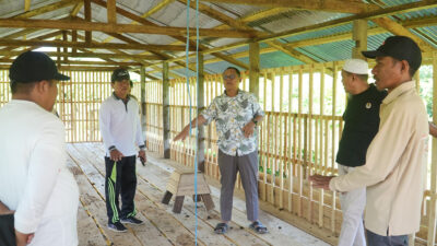 Thariq Modanggu Turun Langsung ke Kandang, Soroti Detail Penentu Kualitas Ternak di Desa Windu